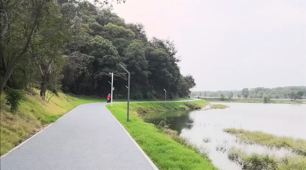 1761882393142344.png image.png